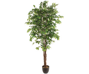 Mākslīgais augs FICUS 2.20m Mākslīgais augs FICUS 2.20m